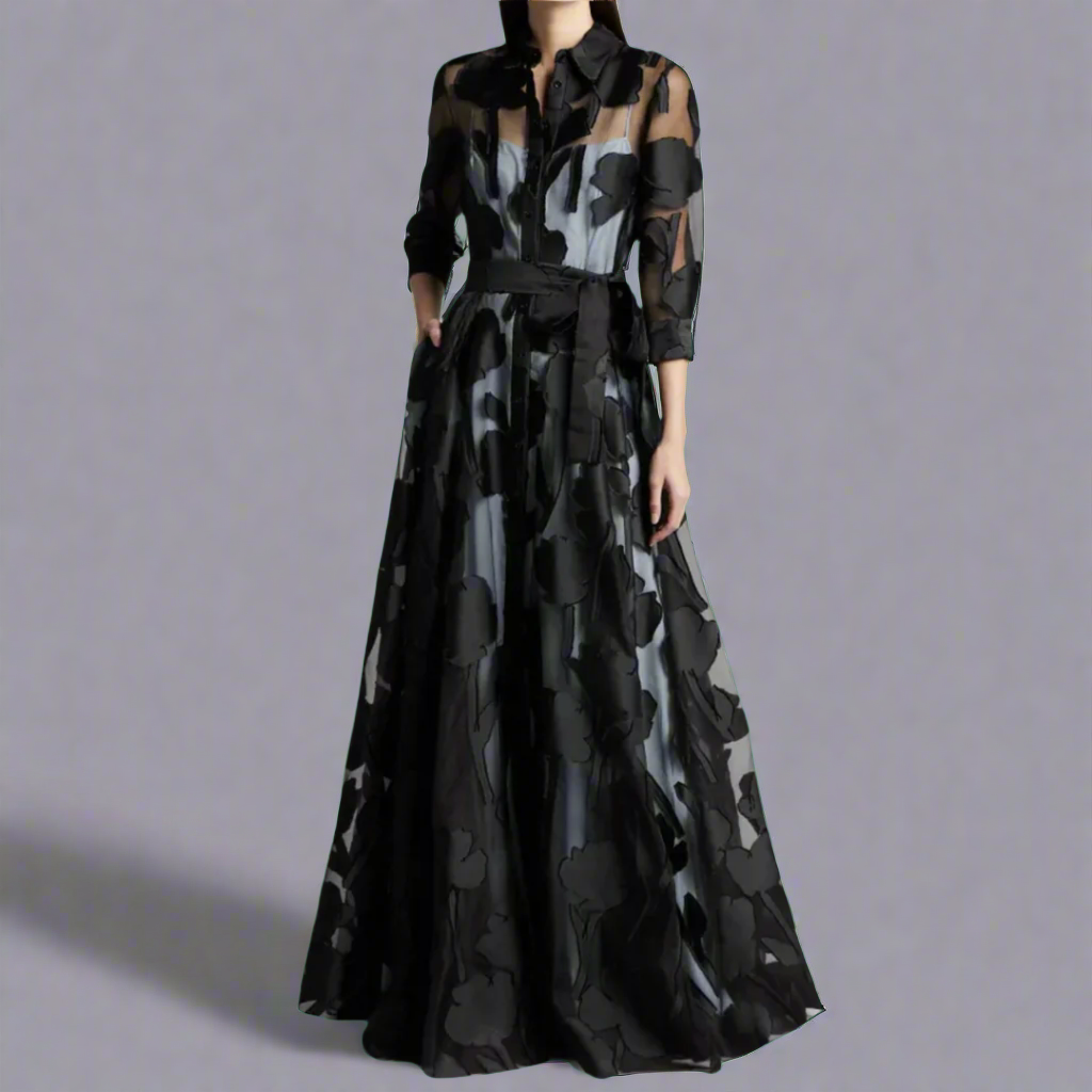 Women's Sheer Maxi Dress