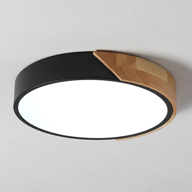 Flush Mount Light Fixture Modern Ceiling Lamp