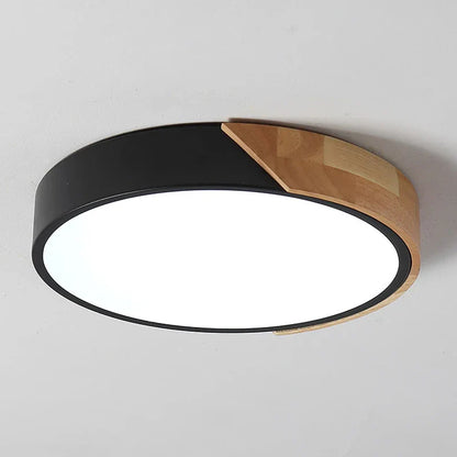 Flush Mount Light Fixture Modern Ceiling Lamp
