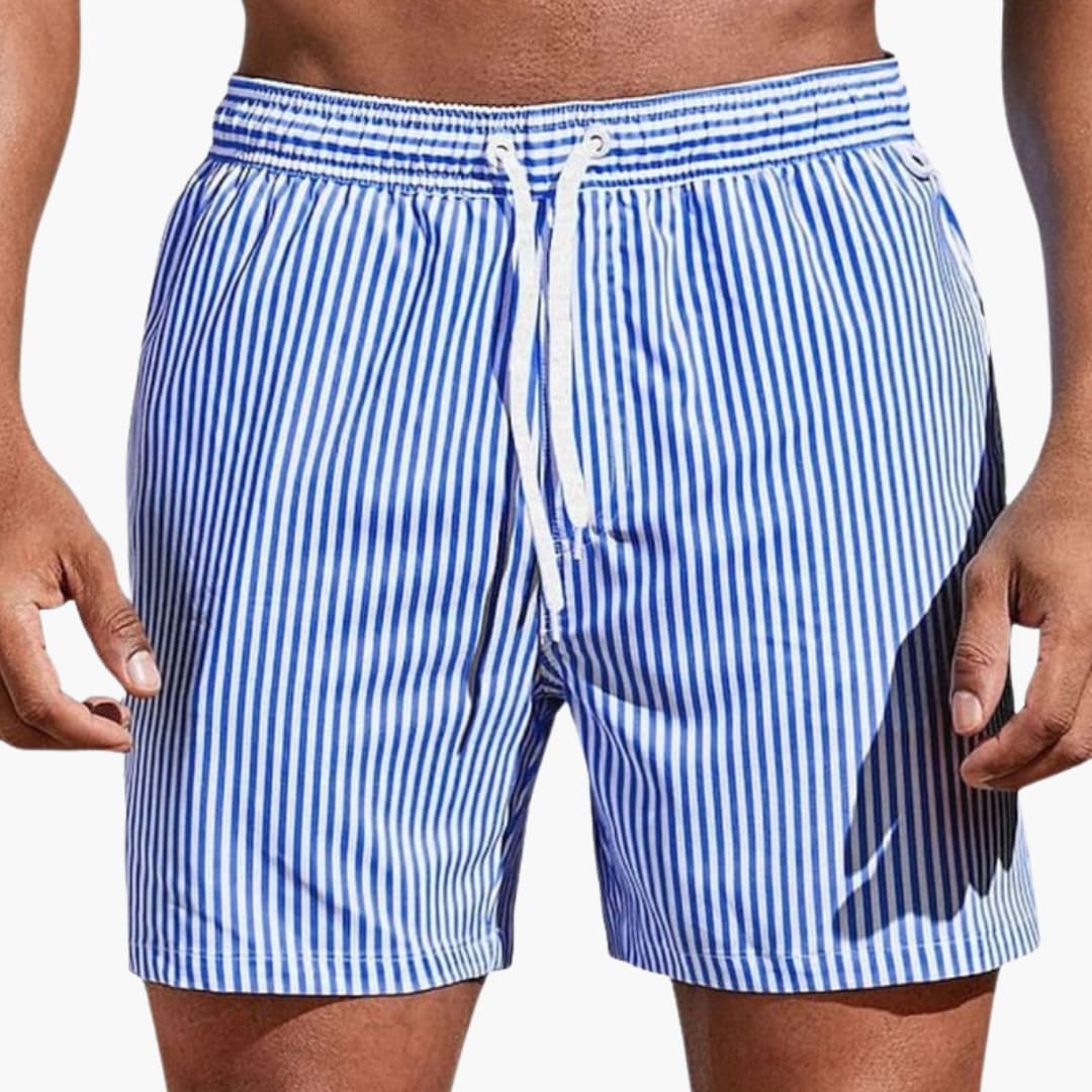 Men's Board Shorts Elastic Waist Striped