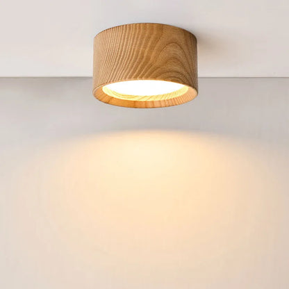 Modern Flush Mount Downlight
