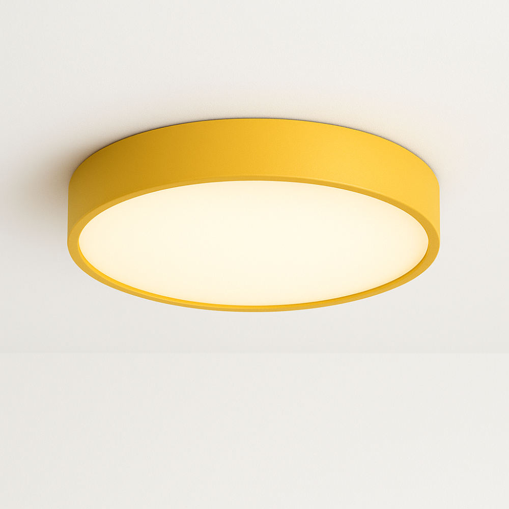 Ceiling Light Fixture