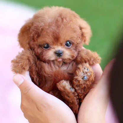 Puppy Interactive Toy Realistic Movement